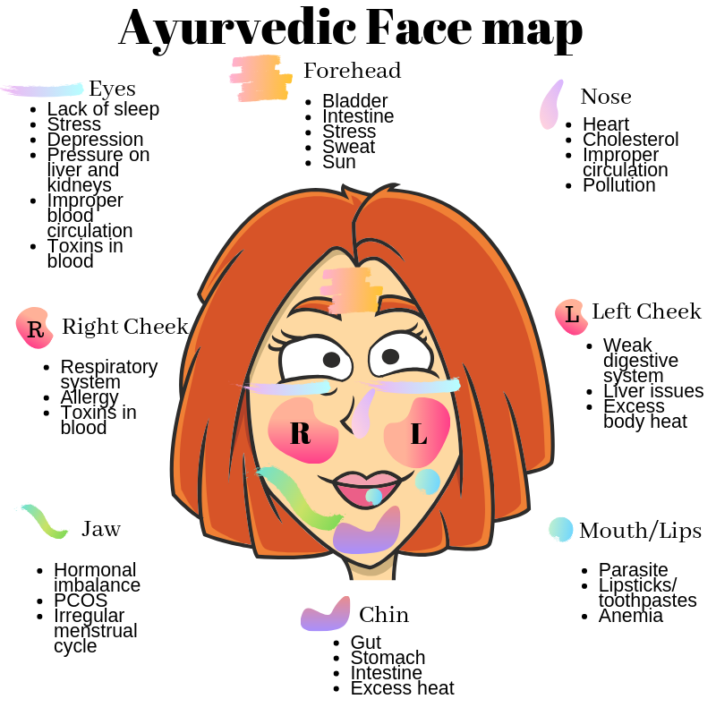 Ayurvedic Face Map Are You Listening To Your Body Buddhica